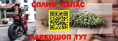 спиды Шелехов