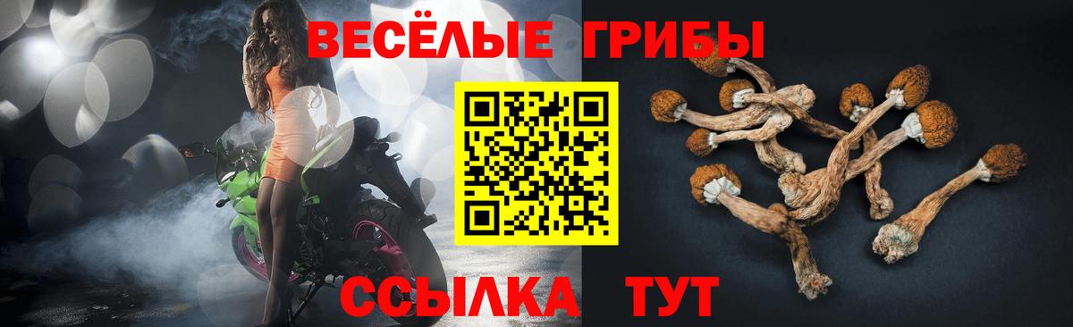 Псилоцибиновые грибы ЛСД  Вход с VPN  Малгобек  наркошоп  Галлюциногенные грибы GOLDEN TEACHER 